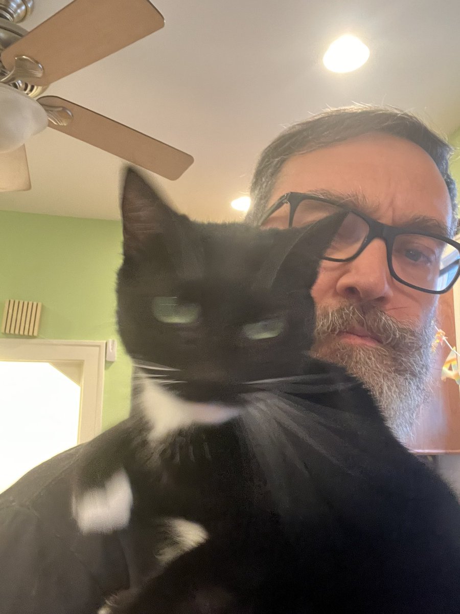 drpantsmusic's tweet photo. #Scouterdays Oh nothing, just spending time on my Saturday fending off a Yellowjacket incursion on my home. Because if I don’t, this one will try and is liable to get herself stung. 
👖
(1/2) https://t.co/2jhOihhKd7
