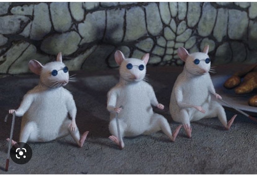 jamsponge711's tweet photo. The judges watching Yan vs O’Malley #UFC280 https://t.co/p9b70vTOHP