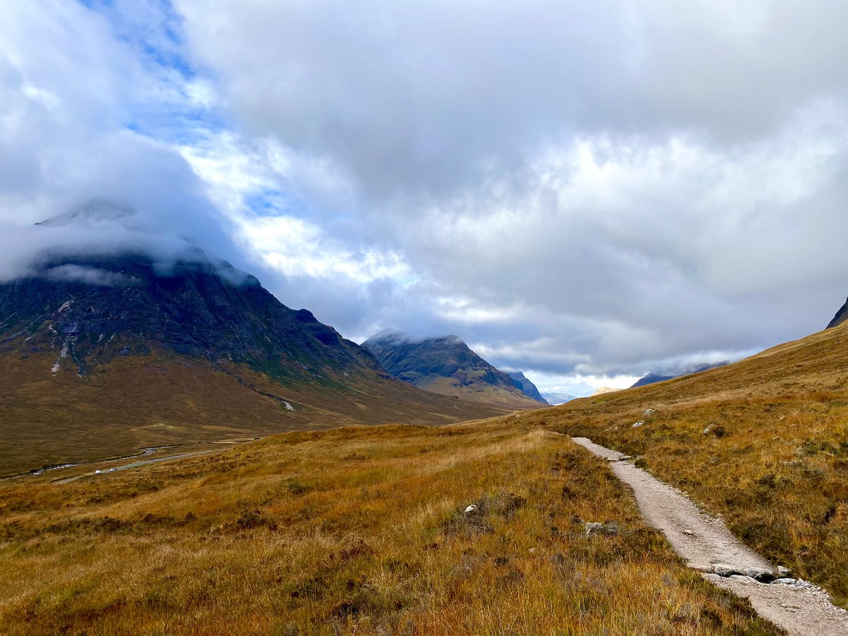 Dr Max Holloway tweet media