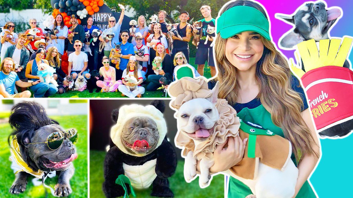 New vlog! Hosted a Halloween Dog Costume Contest Party! 🎃🐶 Watch here to see who won! youtu.be/JTJsKcwwC8M