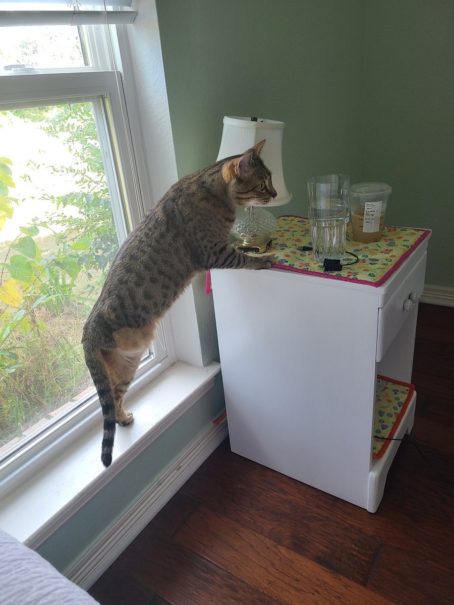 snickarp tweet media