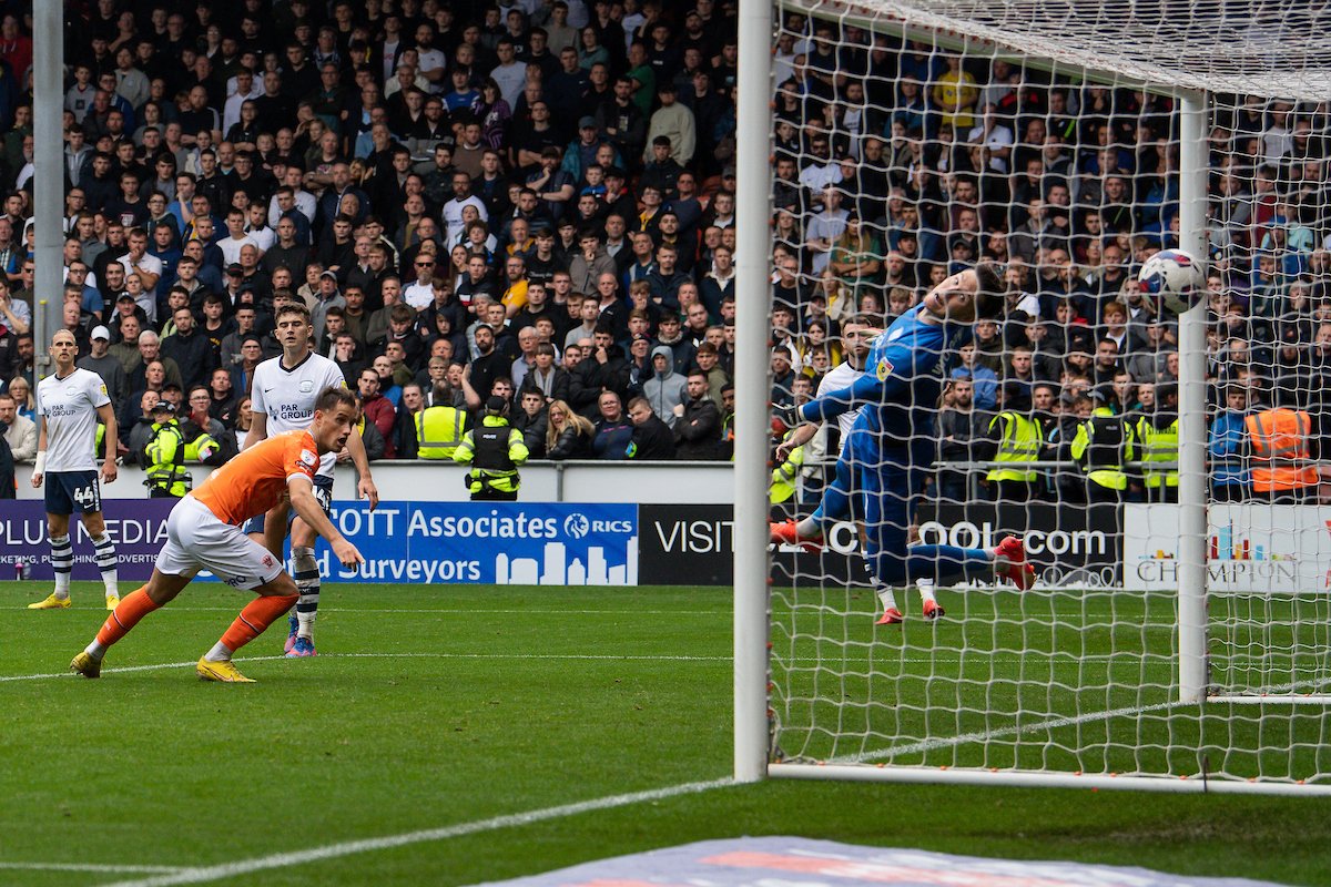📸 What a pic! 

🍊 #UTMP