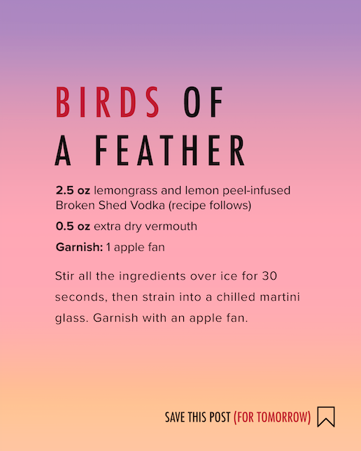 BrokenShedVodka's tweet photo. We love Pūweto Spotless Crake so much, we created a cocktail in their honour! Birds of a Feather is a Spotless Crake inspired martini, influenced by their diet of seeds, grasses and fruit. #BirdoftheYear #BOTY #SpotlessCrake https://t.co/1494JUKHF4