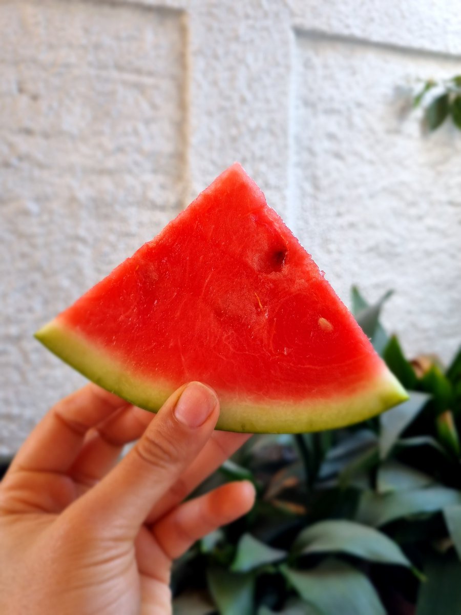 Valentinavidela's tweet photo. Que ricaaaa https://t.co/GUZYv4qnrG