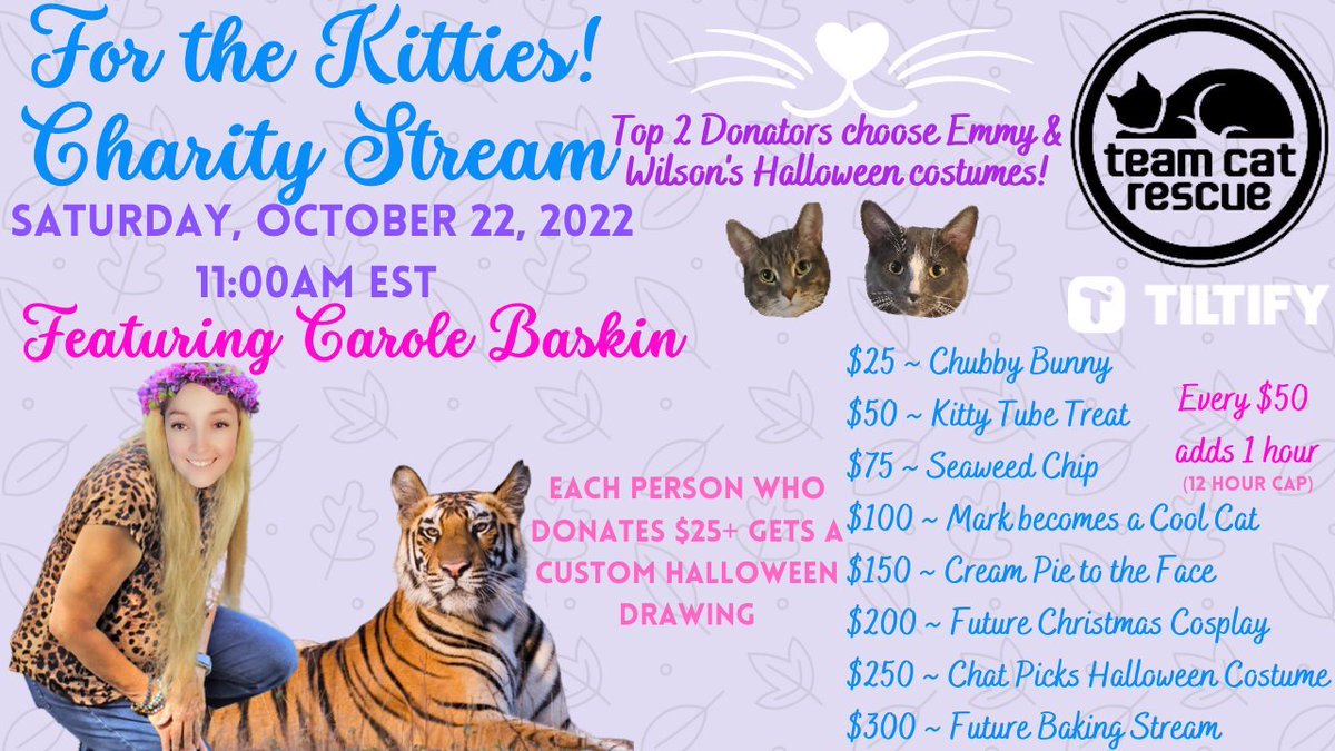Join in and help the kitties!!!
