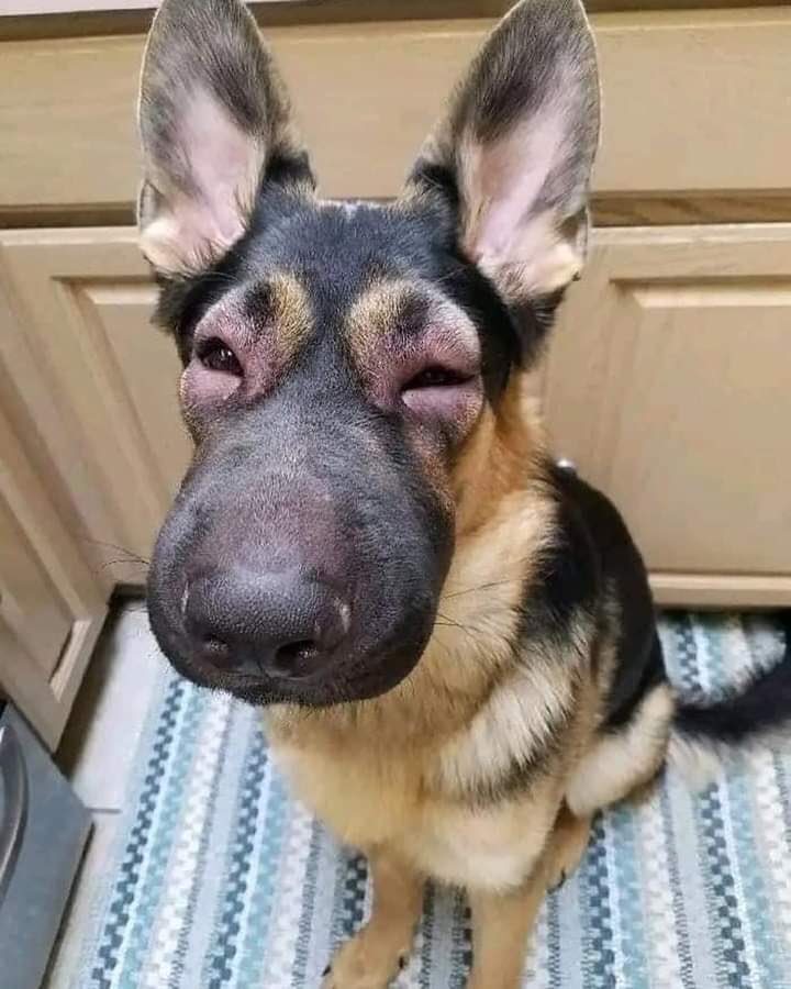 Yo después de decir que no estaba llorando