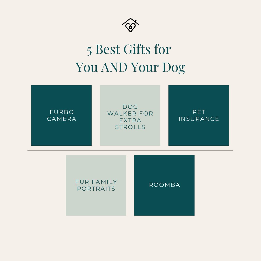 drstacyvet's tweet image. Here are some of my FAVORITE gifts for you and your dog! Am I forgetting anything?! Tell me in the comments below ⤵️ #doggifts #petgifts #dog101 #furbo #petinsurance #roomba #rover