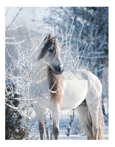 FreeArtDotCom's tweet photo. Our featured prints this week are Give Thanks by ChristianCreative and Winter Horse by Olgait.  Both are 11” x 14” and free with $2.49 S&amp;H until October 29th.

https://t.co/ZdCoJhOkF7
https://t.co/10oS2ZeRcG https://t.co/YaNXvFdopT