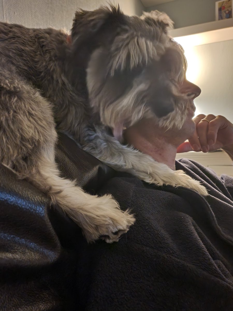 Haggis and his Dad watching TV🥰
<a href="/BrodHiggins/">misneachhiggins.bsky.social</a> @DowningLallana <a href="/VivianLambert59/">Vivian Lambert 🇺🇦</a>