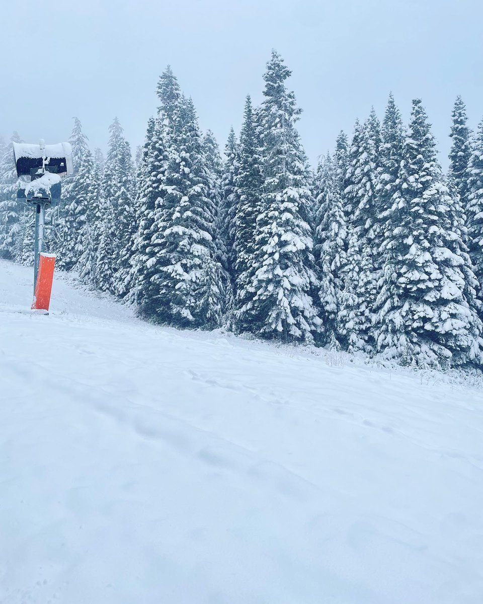 Crystal Mountain tweet media
