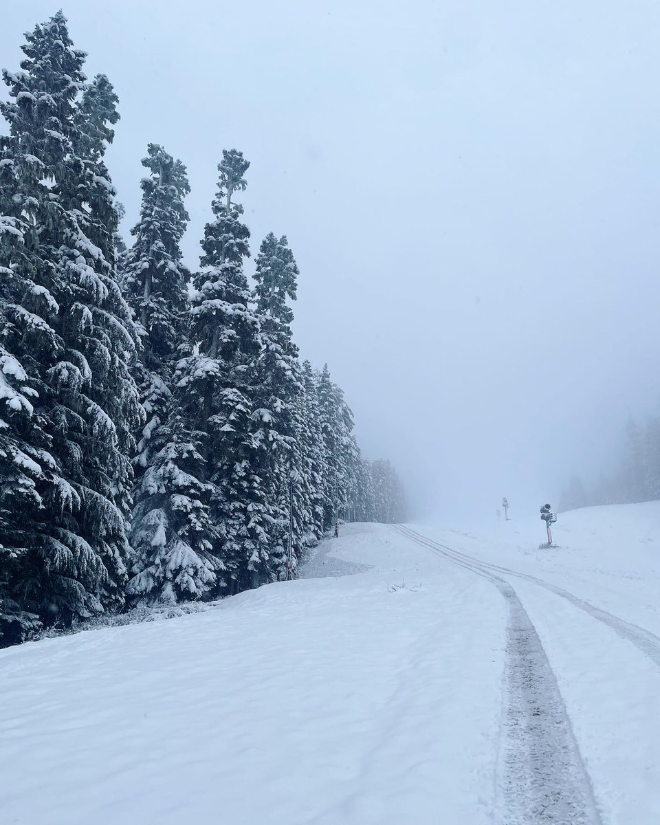 Crystal Mountain tweet media