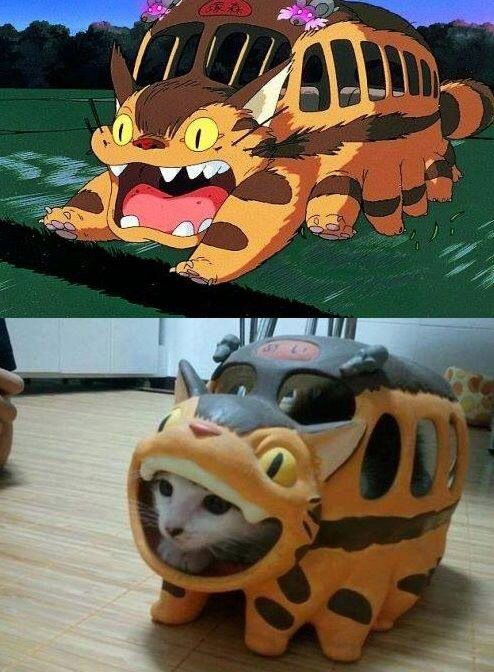 WholesomeMemes tweet media