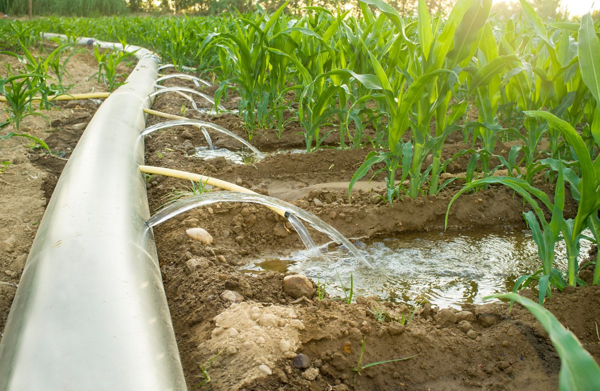 Agirite's tweet photo. Irrigation implies drainage, soil reclamation, and erosion control. When any of these factors are ignored, agricultural productivity will decline. https://t.co/CrMs9UD93U