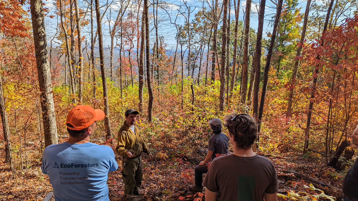 EcoForesters's tweet photo. @ncforestservice county ranger Bo Dossett led an inspiring field trip as a part of our Madison county landowner workshop! The group saw portions of the Appalachian trail near Hot Springs impacted by the 2016 wildfires. It was fascinating to see how different ecosystems responded. https://t.co/JHMBFOmtzQ