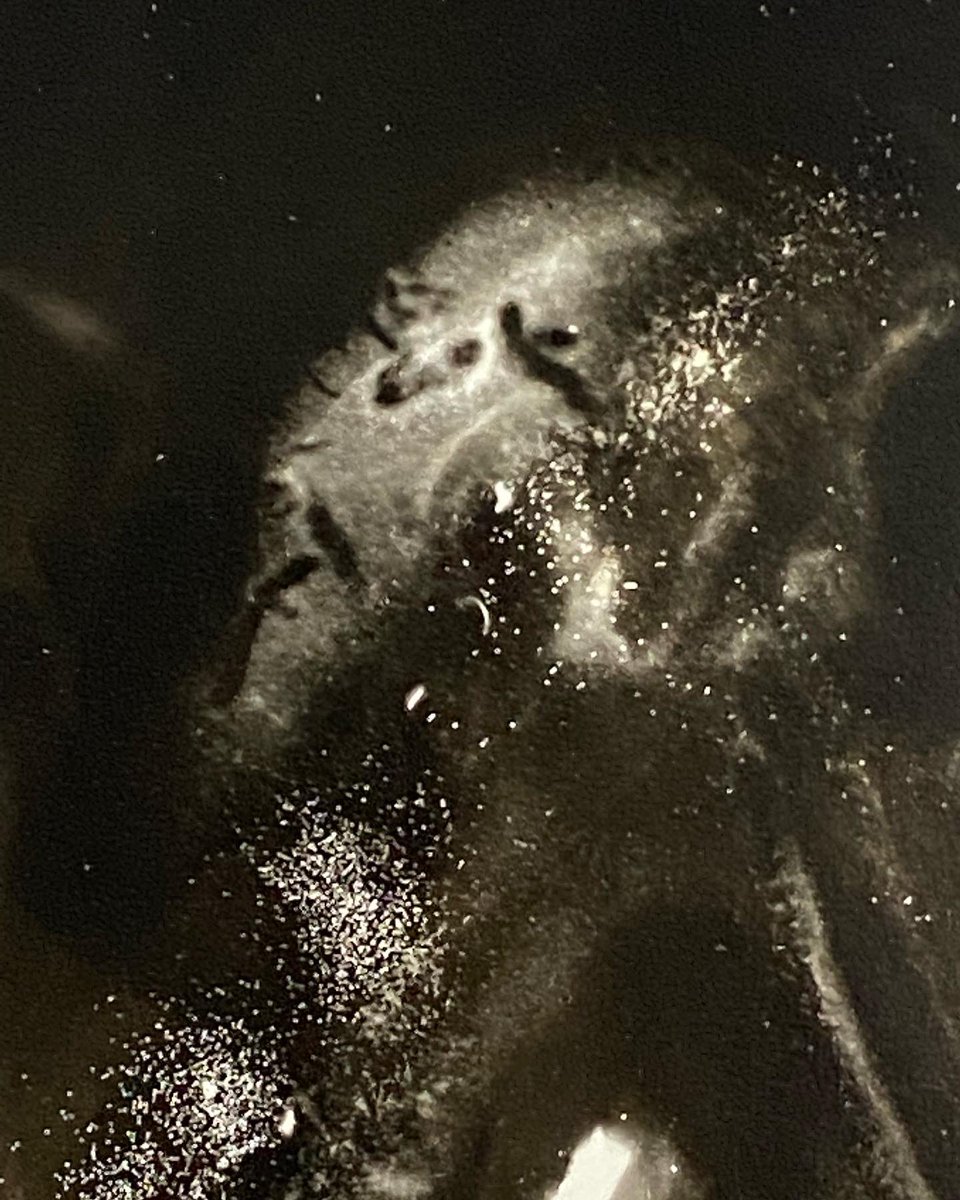 KJSPhotography's tweet photo. #Shakespeare is 1 of 4 #unique #silvergelatin prints in @1stdibs 's CURRENT #Curated #printauction ❣️ Many thanks to #guestcurator @latoyamhobbs for selecting my work.
🔗See the full auction here: https://t.co/PYQ0rylz0N
#1stdibs #auction #investinart #contemporaryphotography https://t.co/jDqk25z77T