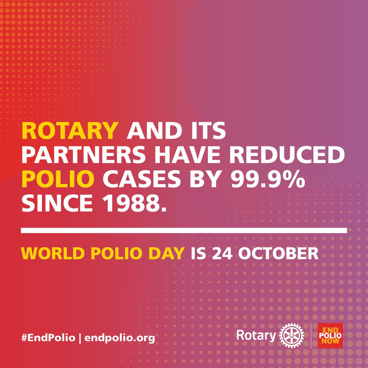 Alexander Falk tweet media