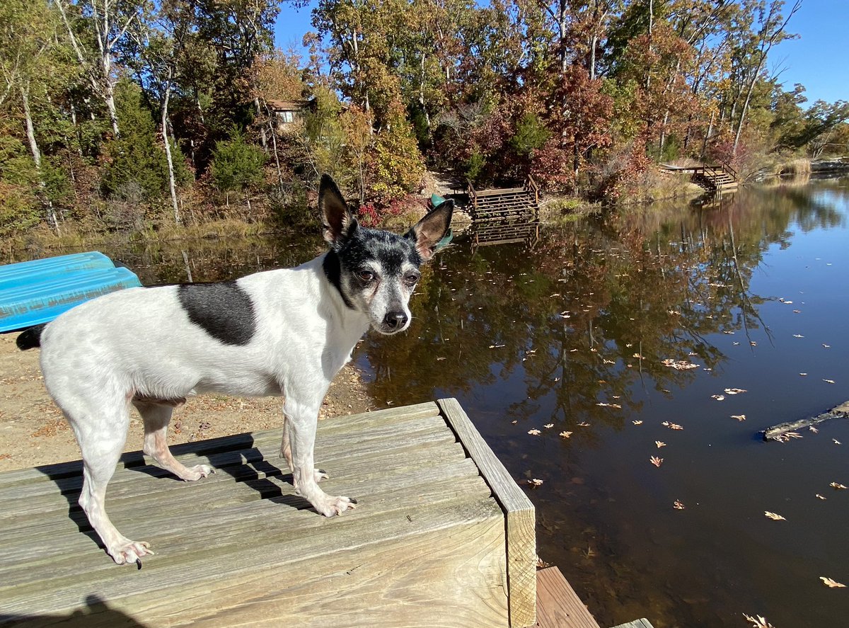 CaptainRaoul's tweet photo. #innsbrook #vacationphotodump https://t.co/MM0ClTFXgF