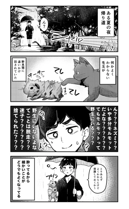 外にいたモルモットが絵描きに拾われた結果 
