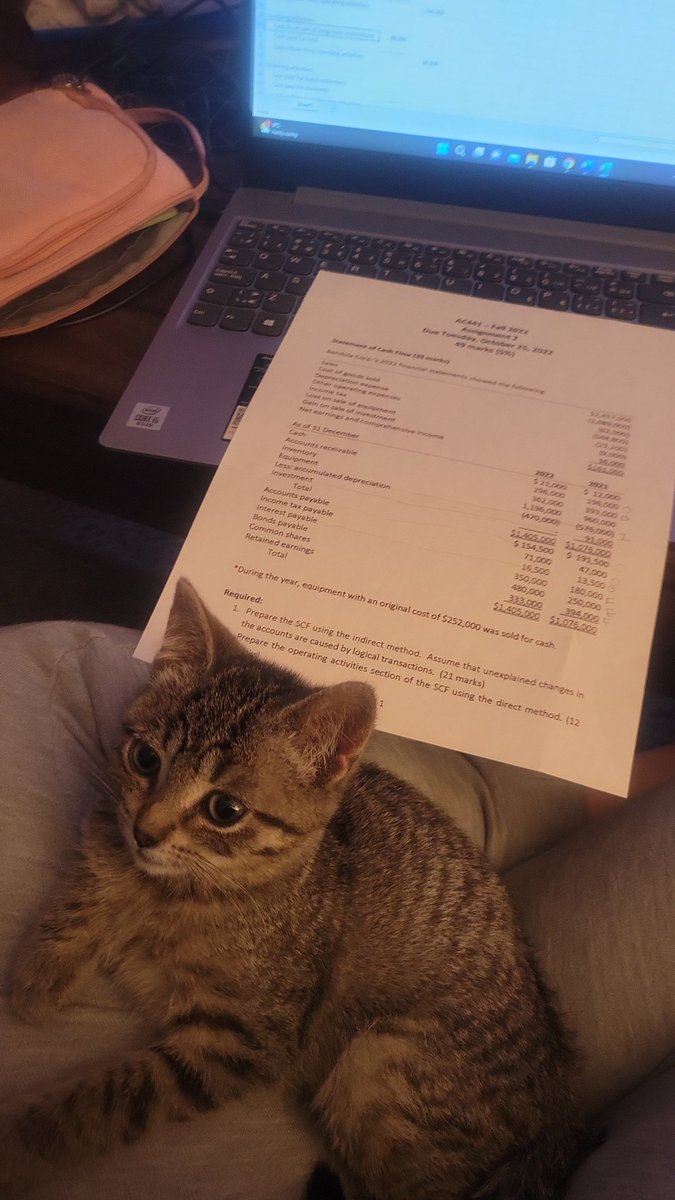 Kitten cuddles making accounting homework easier 💕