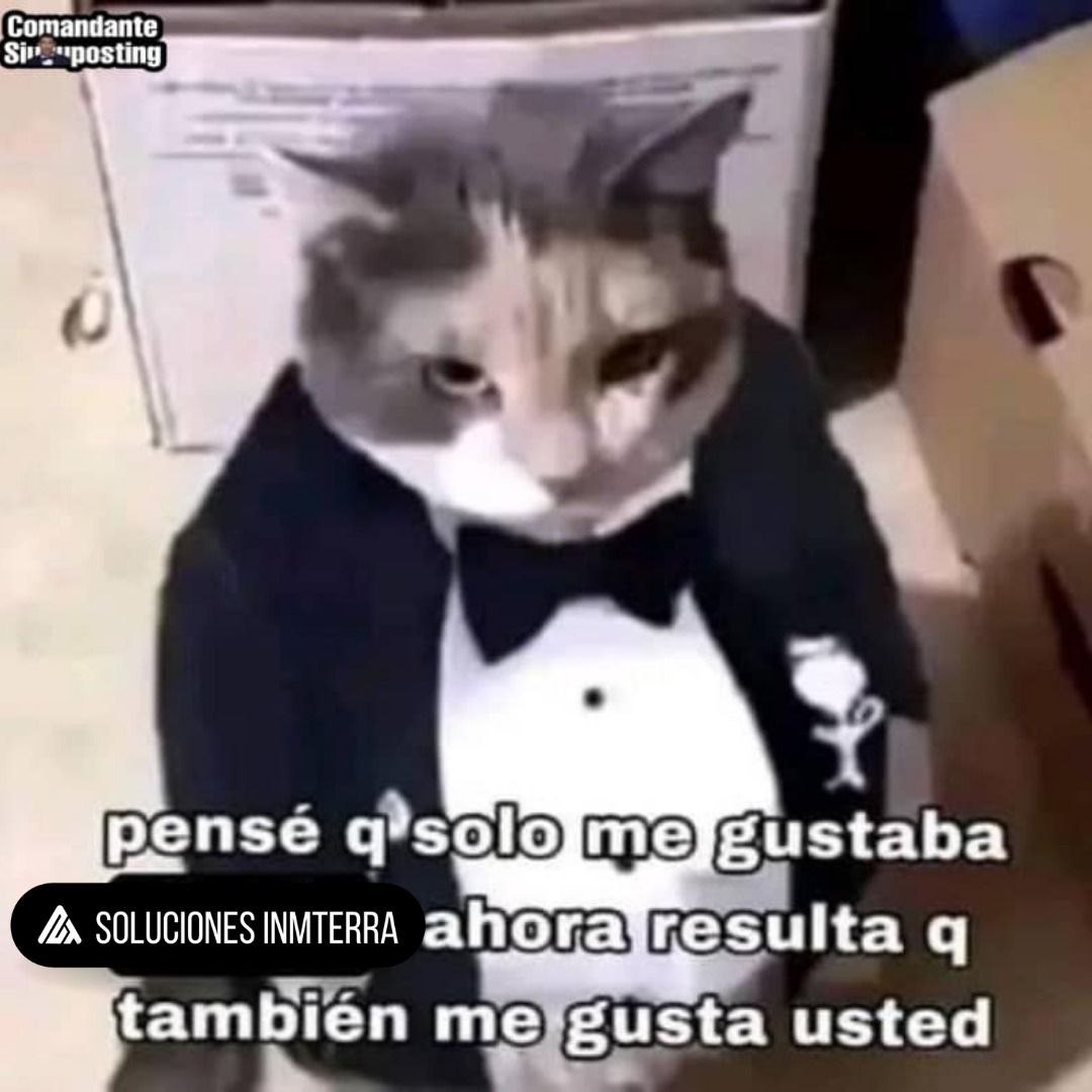 InmterraBR's tweet photo. #shitposting #casasposting #memeespañol https://t.co/luIt2IE2ny