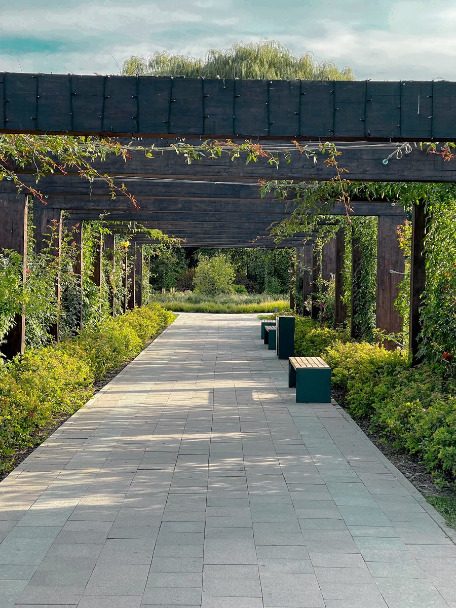 ..

اللهـم لطفاً يحل على تفاصيل أيامنا             فيغير مسارها للأجمل..💚

.. 
#صباح_الخير