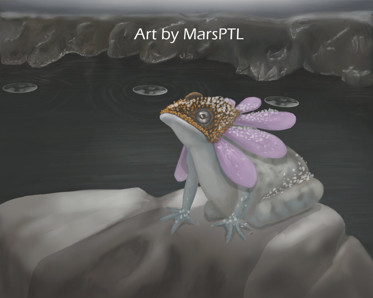 mars_ptl's tweet photo. Rarity proof of art in Mars PTL
Even AI couldn't create it coz its a unique,new &amp;original concept
Jeyo:a Martian frog mutated with coneflower https://t.co/N87RRH12at
#AIart #NFTCommuinity #NFT #NFTcollections #ETH #Ethereum #nftarti̇st #opensea #NFTCommunity #NFTs https://t.co/lDxZ2Cw51U