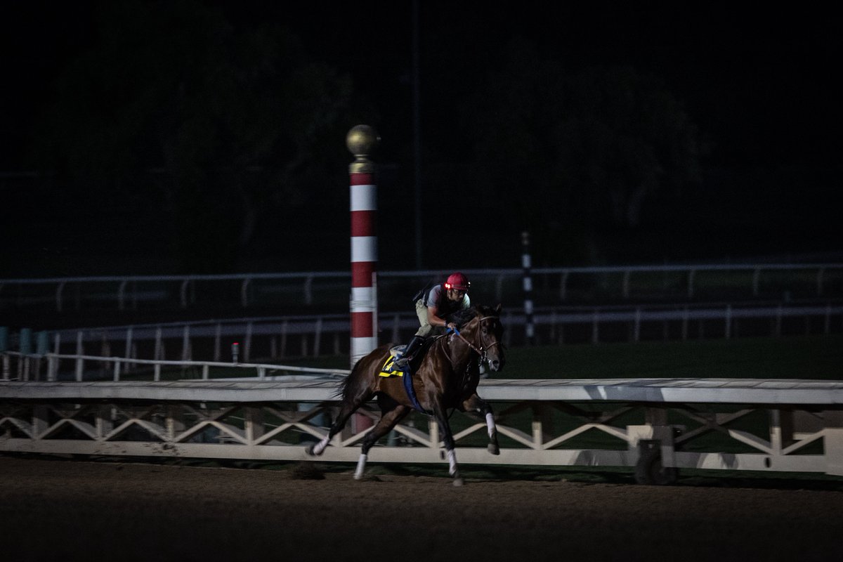sadlerracing's tweet photo. “You were born to be a player. You were meant to be here. This moment is yours.” – Herb Brooks 
Final prep for @BreedersCup   @Hronis_Racing @westpointtbred @woodfordracing @SienaFarmKY @MoreSummerWind @stephrosa3 @KostaHronis @JuanLeyva1984 @NathalieDarley 📸@katejonesstudio https://t.co/SbF6Vlhpiv