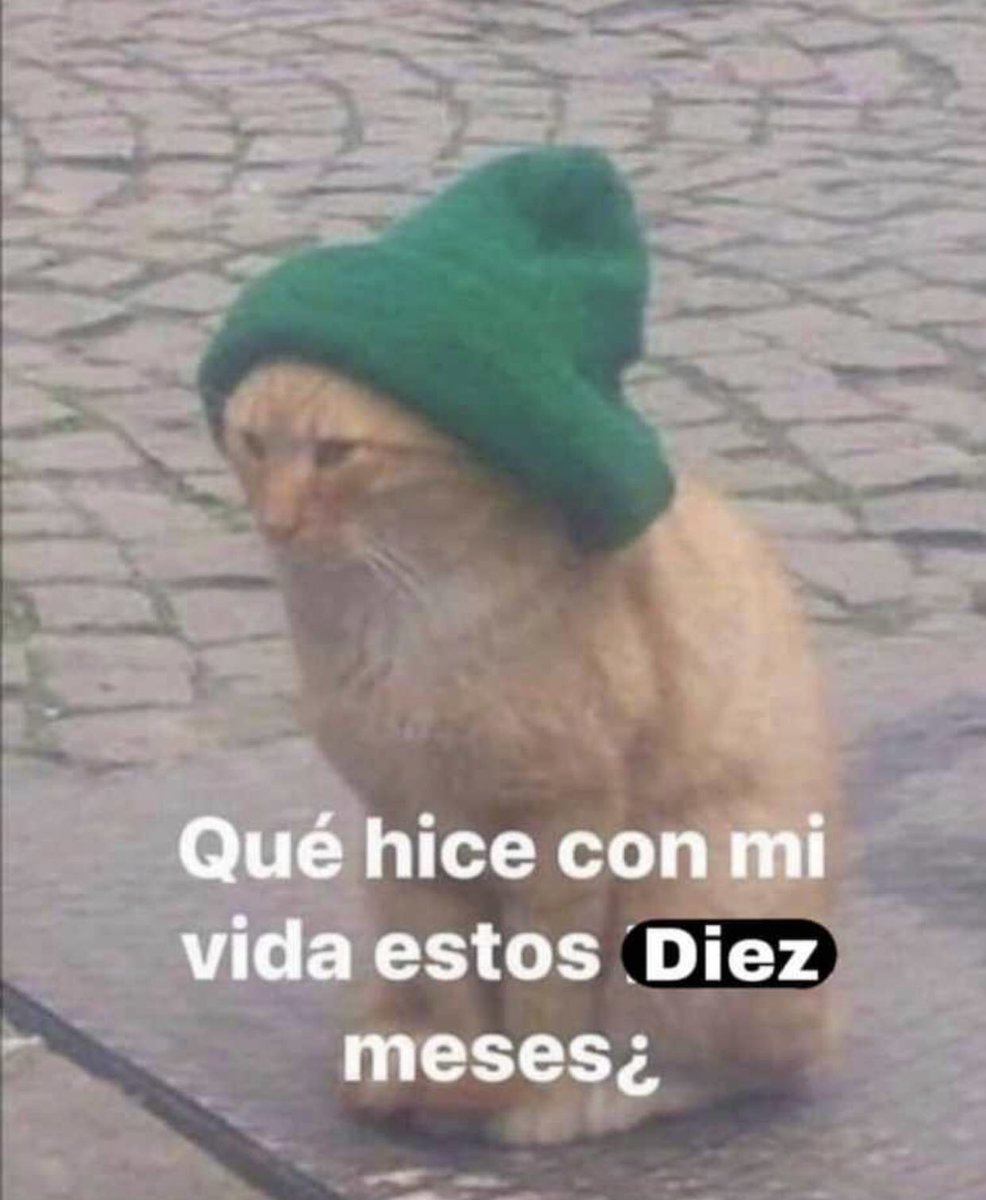 cxrrly's tweet photo. Mood https://t.co/Yf0PkOZaec