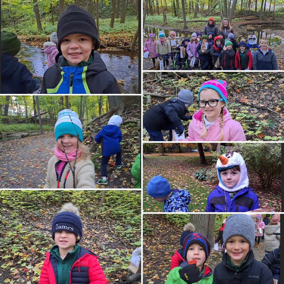 SaintThomasGR's tweet photo. @SaintThomasGR Some of the best memories are made hiking through the trees. Kindergarten hike through Aquinas. @GR_CCHS @GRDiocese @dogrschools @GRWestCatholic @DrTyrrell
#WeAreSaintThomas
#YouBelongHere
#SmallThingsGreatLove https://t.co/hKMA11FAQ8