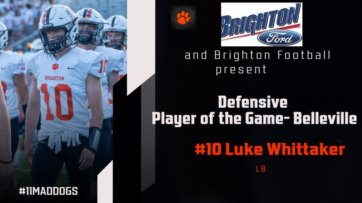 Brighton Football (@godogs_football) on Twitter photo 