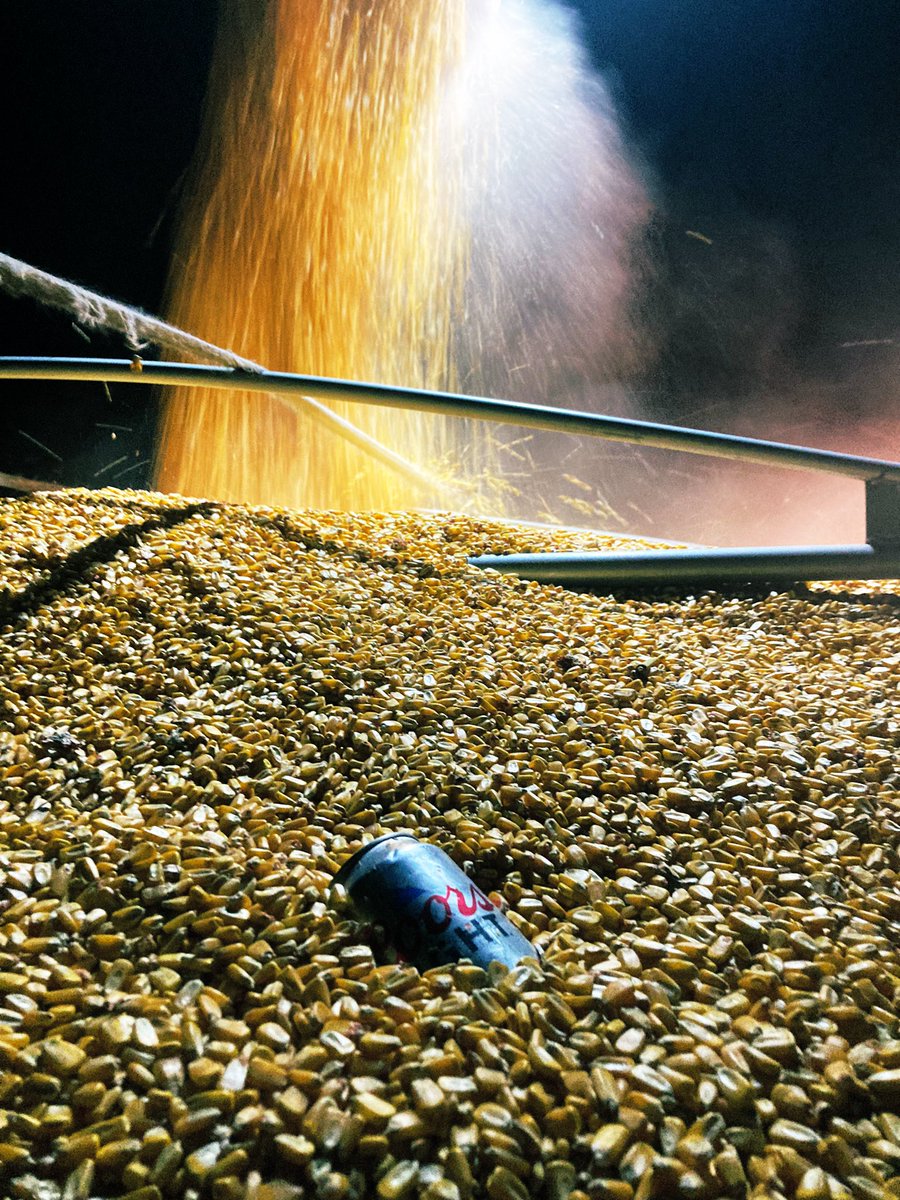 HakansonJordan's tweet photo. Bumper Crop @CoorsLight https://t.co/T55j8V5BIU