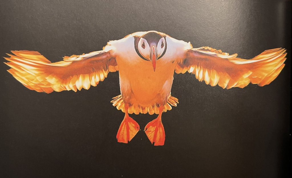 Chris Packham tweet media