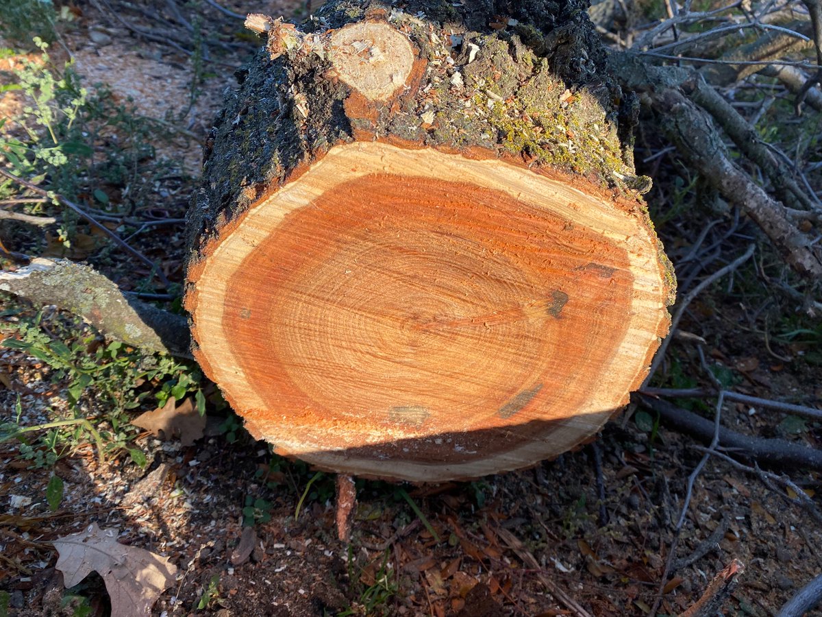 Drew De Bruyn tweet media