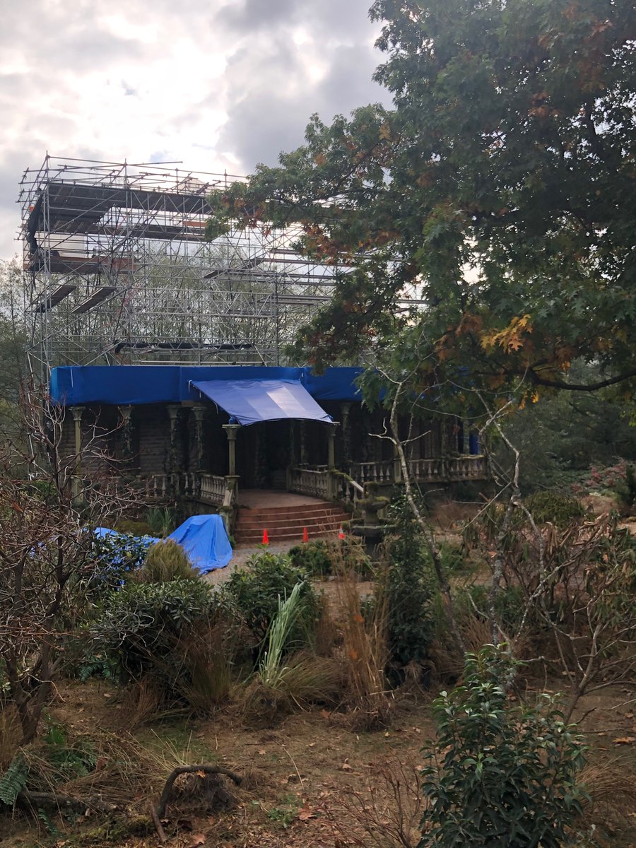 Blaze | 🌺 tweet media