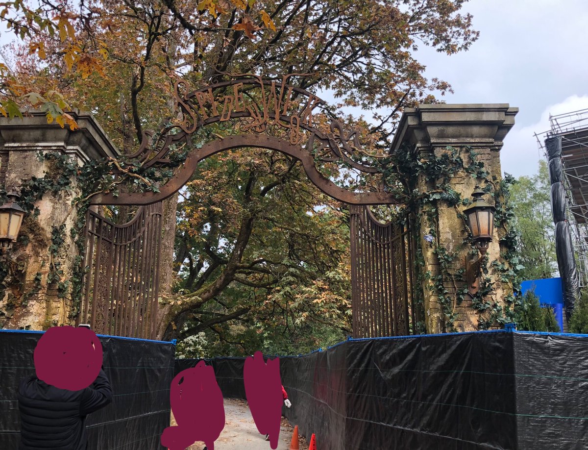 Blaze | 🌺 tweet media