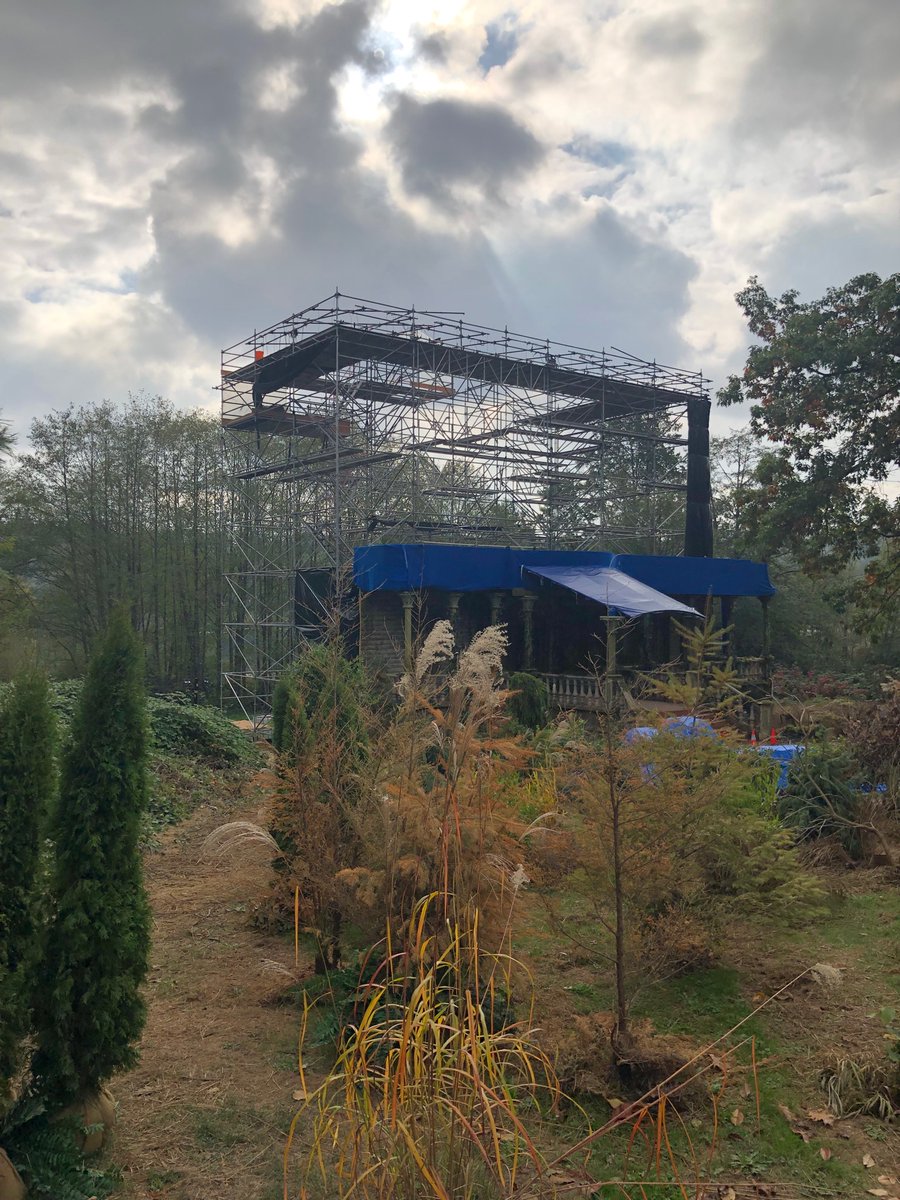 Blaze | 🌺 tweet media