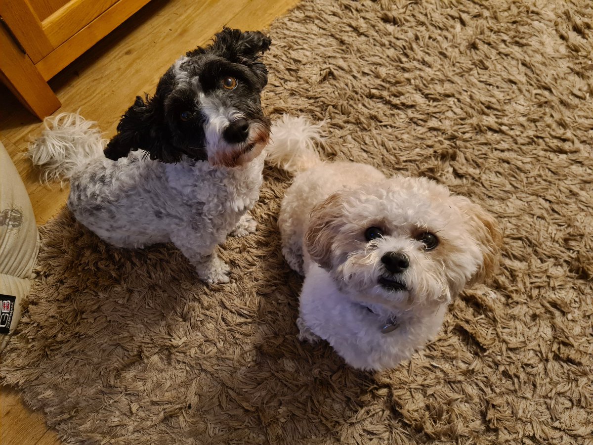 Who wants a treat?