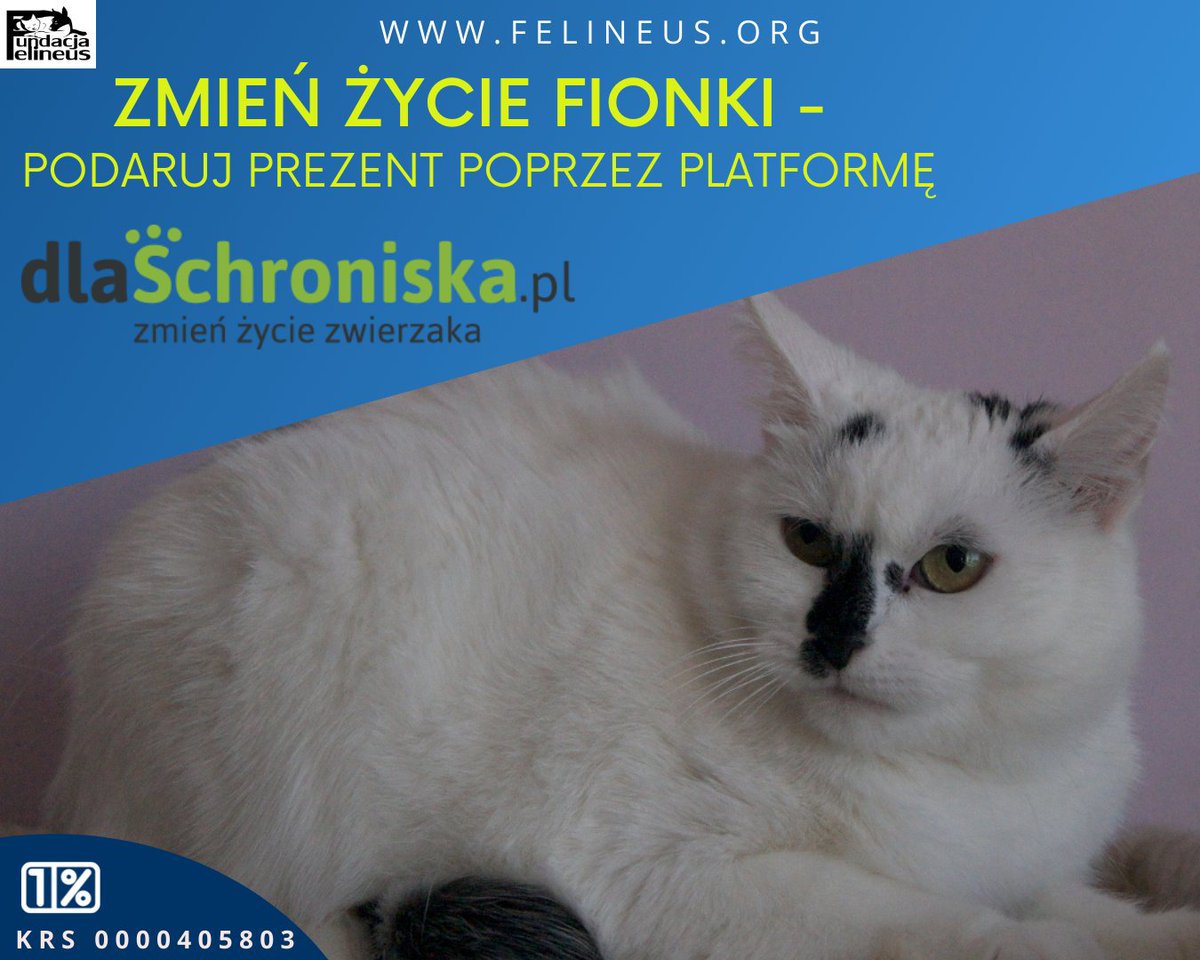 F_FELINEUS's tweet photo. Wchodząc w poniższy link możecie przygotować dla Fionki podarunek - żwirek, karmę, zabawki i inne potrzebne jej rzeczy. 

https://t.co/h2TsCkQ2nU

#prezent #Fionka #kot #dlaSchroniska https://t.co/iY0R5hAQkI