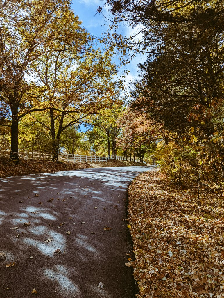 GrossbauerJake's tweet photo. Got back in the saddle today, may not have been the wisest choice as holy winds!!
About had bike blown out from under me a few times but loving my fall backroads.
#bikems #roadbike #fallriding #peteacher #exploremo https://t.co/7zSPfXL7Bm