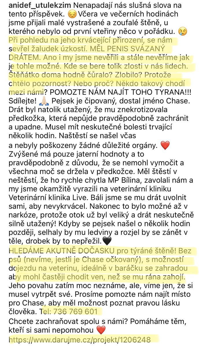 Katka Etrychova tweet media