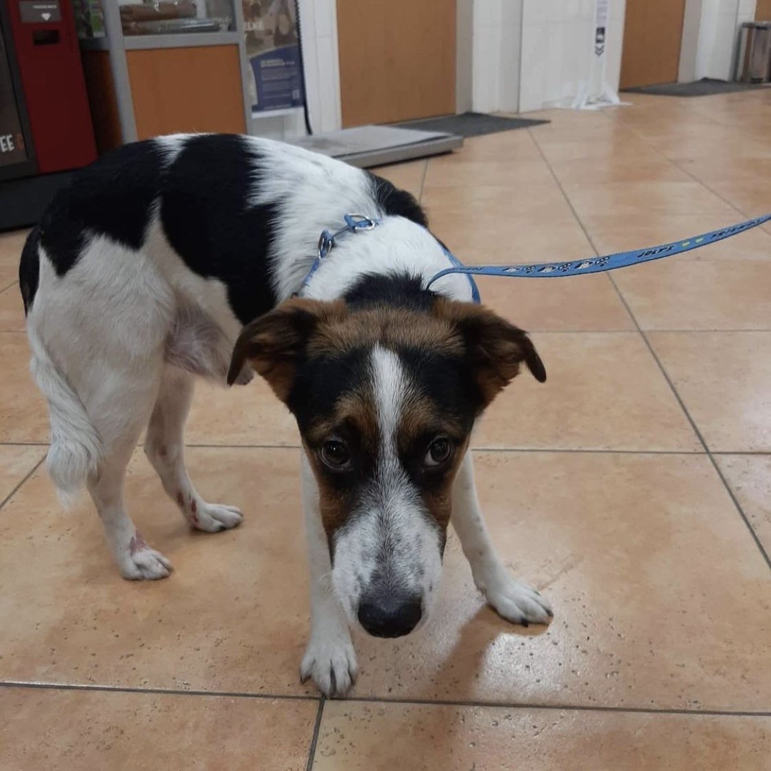 Katka Etrychova tweet media