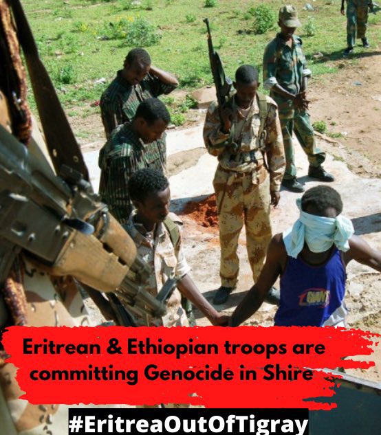 HermelaMandela's tweet photo. The #Eritrea🇪🇷"forces are raiding #Tigrayan houses,taking everyone, &looting everything that values to them from #Shire
@UN @eu_echo @amnesty @POTUS @SecBlinken @SFRCdems @JosepBorrellF @JanezLenarcic @hrw @EUCouncil @UNHumanRights @USAmbUN
#EritreaOutOfTigray #StopWarOnTigray https://t.co/1zKYOt00jk
