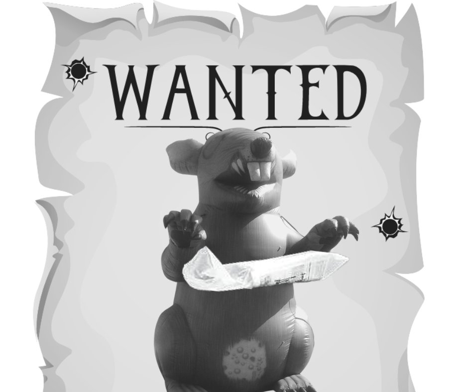 Proud Union Member tweet media