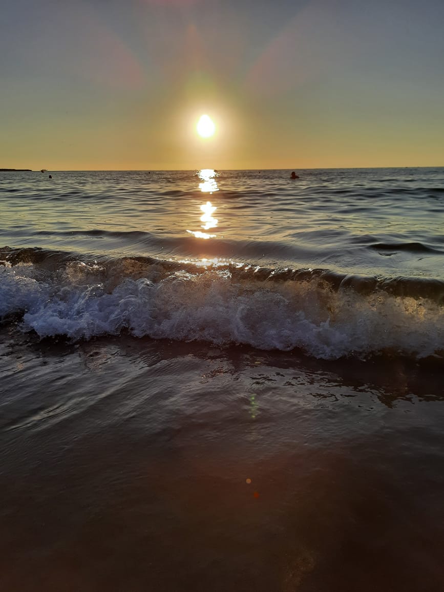 Oleg Savelev (@olegsavelev264) on Twitter photo 