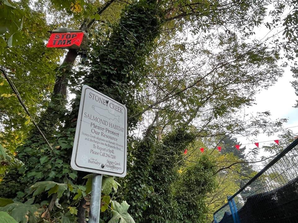 WE'RE BACK...with eyes on the pipeline construction at the salmon-bearing Stoney Creek in so-called Burnaby.

Committed to protecting the planet from pipeline companies and the governments that enable them from #stopTMX to #CGL and beyond. 

Details: stoptmx.ca