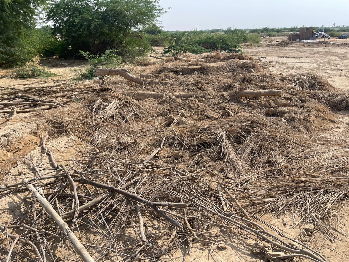 DrNoorAhmedshah's tweet photo. #BalochistanFlood2022
@DistrictKachi
Villages
#jdc #jdcfoundation #jdcfreemobilerestauarnt #jdcdastarkhuwan #shahraefaisal #freefood #freefooddistrubution #donate #support #joinhandswithjdc https://t.co/kHeh2JDAqI