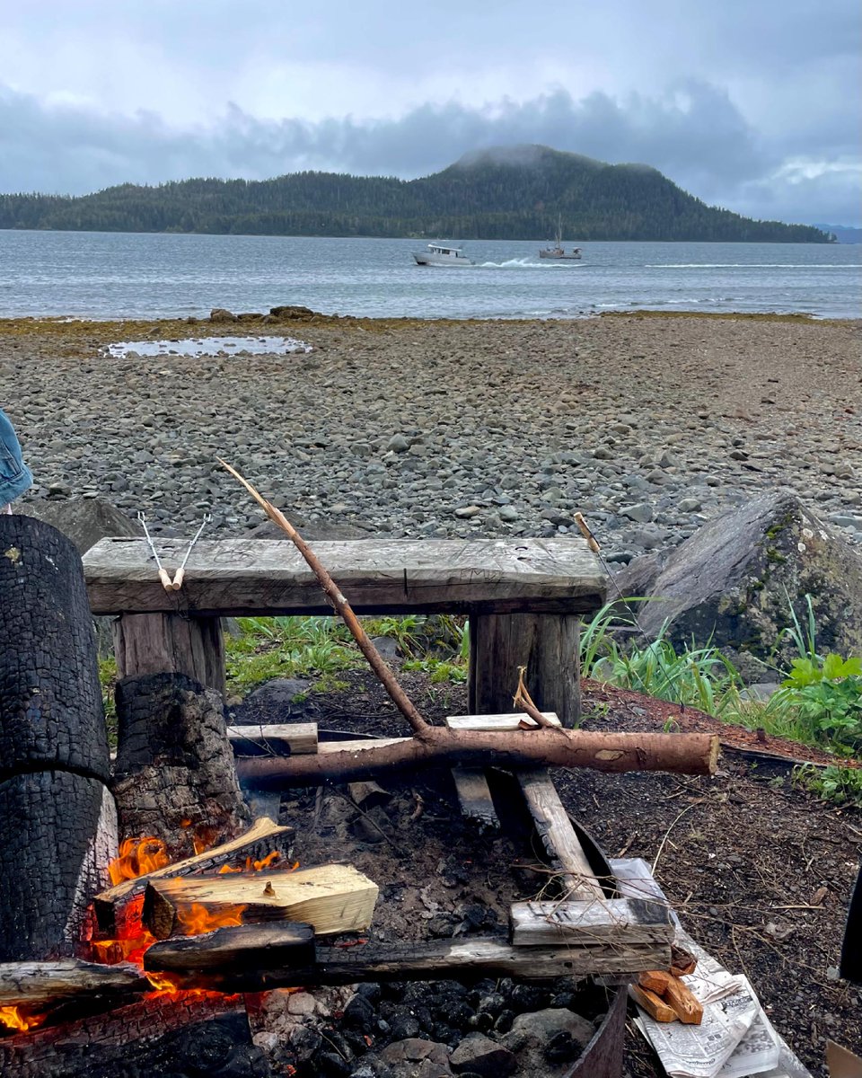 TravelSitka's tweet photo. Halibut Point Rec. is the perfect place for a picnic or gathering with gorgeous ocean views! 

#alaskaadventures  #alaskatravel #sitkathrough4seasons #travelsitka #cloudydays #romanticisinglife #flowers #travelalaska #sitkaalaska #alaska #sitka #southeastalaska #rainforest https://t.co/UdMYmRv5sM