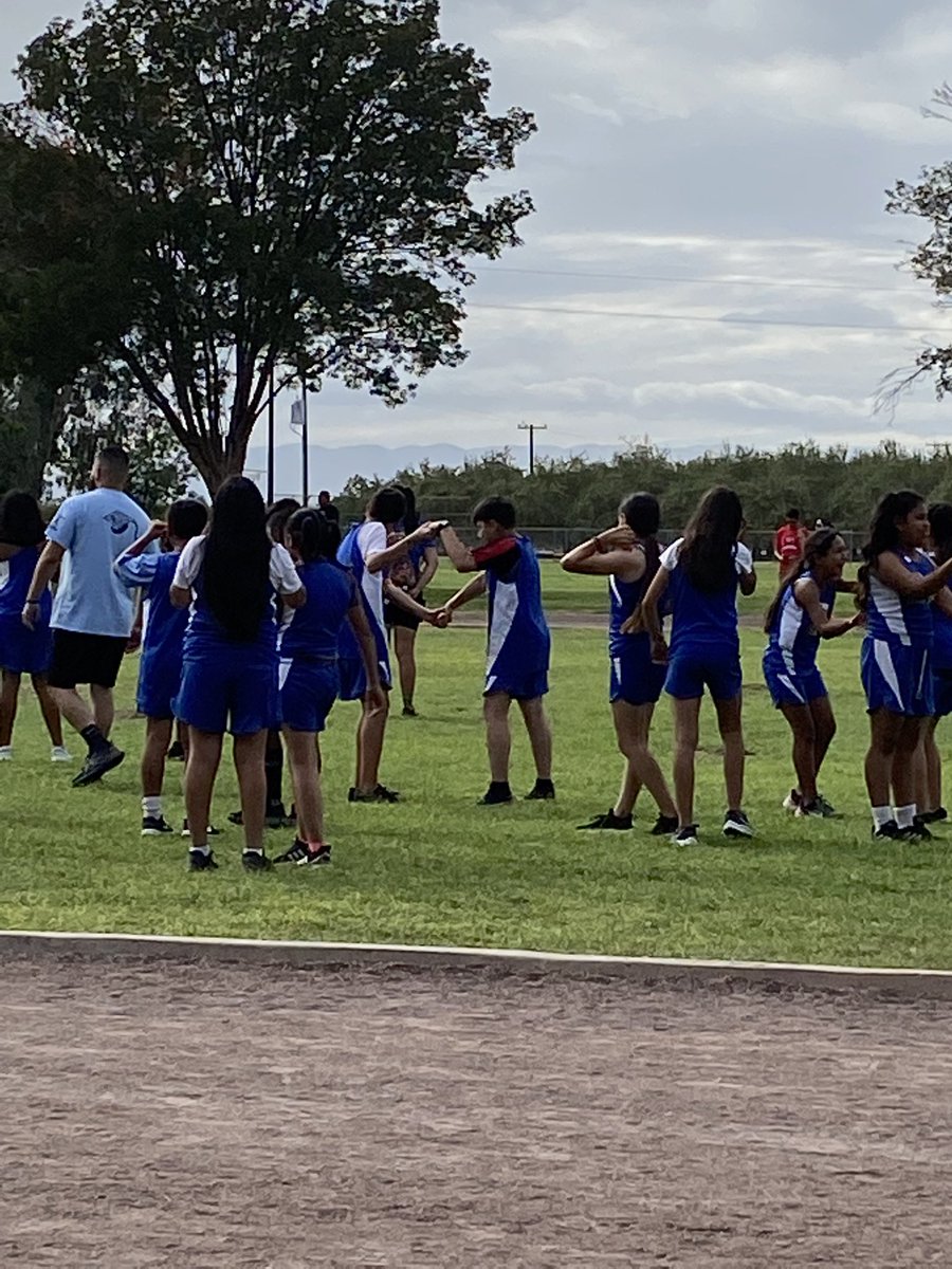 Alicante Ave. Tigercubs tweet media