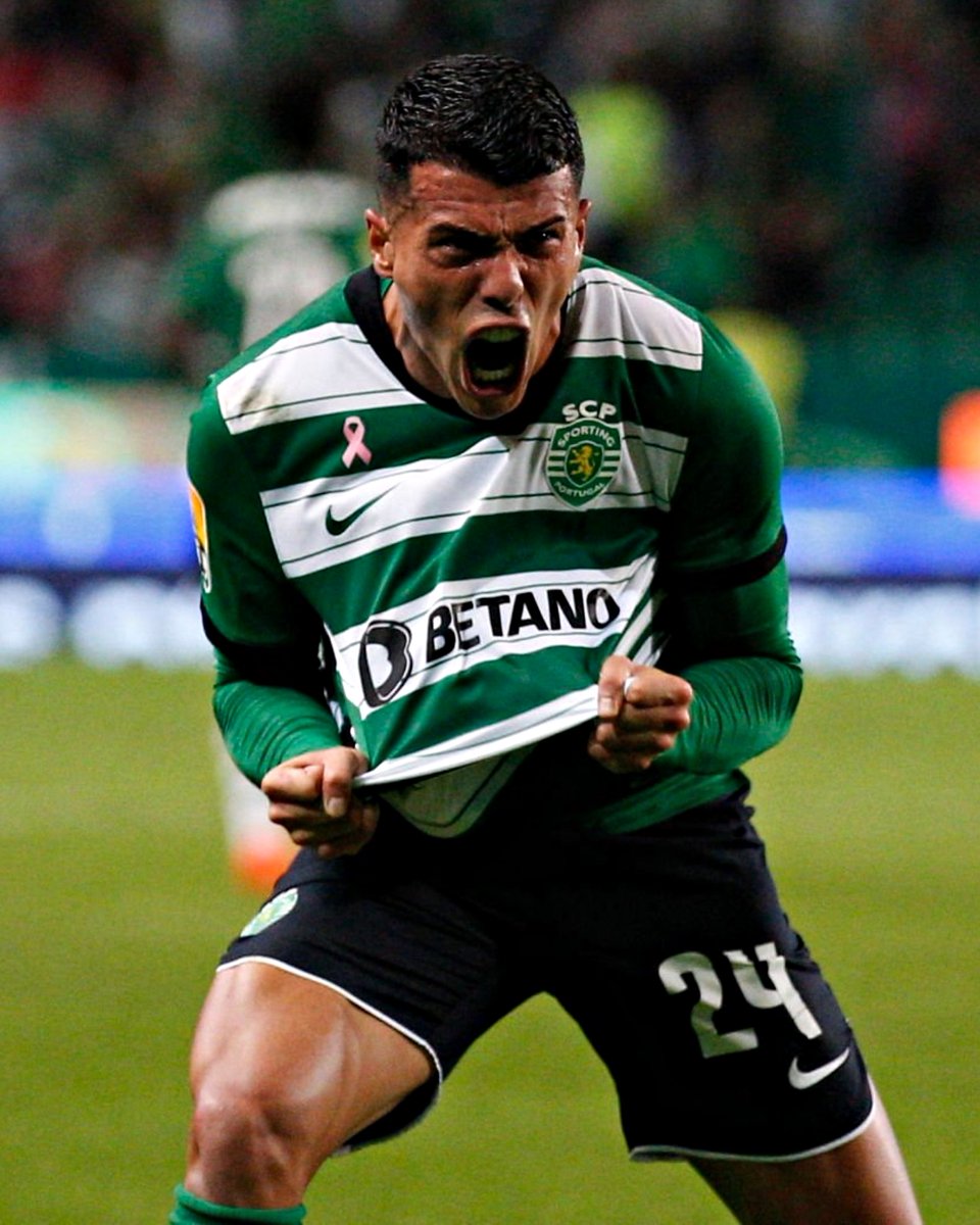 A paixão de @Pedroporro29_ 😤🦁