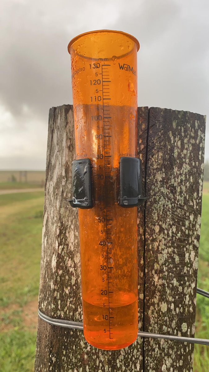 cradeco's tweet photo. Luego de casi dos meses, con lluvias de entre 30 y 10 mm recibimos finalmente agua. 

Esperemos que sea esta la que quiebra la racha y una de las que permita a nuestros productores recoger algún resultado del esfuerzo realizado! 

🌧🌧🌧🌧⬆️⬆️🙏🙏 

#cradeco
#masjuntosmasagro https://t.co/1boistbiGM